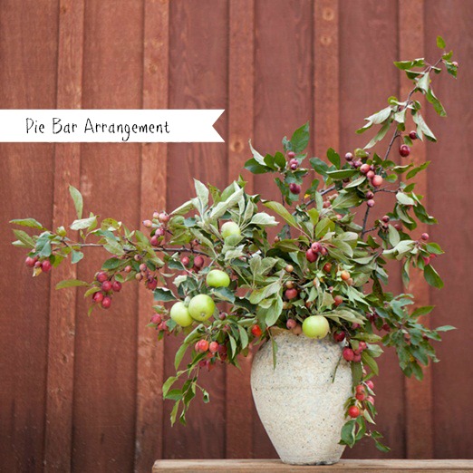 Crab Apple